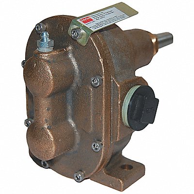 Rotary Gear Pump Head 1/4 in 1/4 HP