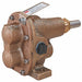 Rotary Gear Pump Head 1/4 in 1/4 HP