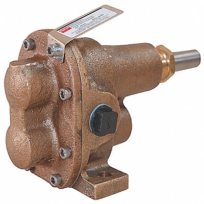 Rotary Gear Pump Head 3/4 in 1 HP