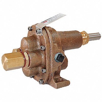 Rotary Gear Pump Head 1/4 in 1/4 HP