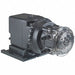 Chem Metering Pump PolyC 1/4in 40gpd