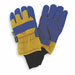 D1599 Cold Protection Gloves L Blue/Yellow PR