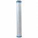 Filter Cartridge 10 micron 2 gpm 20 H