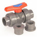 CPVC Ball Valve Union Socket/FNPT 1 