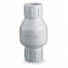 Spring Check Valve PVC 1/2 Slip