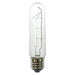 Incandescent Bulb T10 248 lm 25.2W