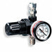 Air Regulator with Gauge 250 psi 150F