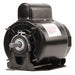 Motor 3/4 HP 1075 rpm 56 115/230V