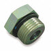 Hose Adapter 1 ORB 5/8 ORB