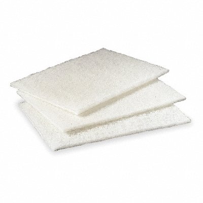 Scouring Pad 9 in L White PK60