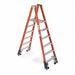 Twin Platform Stepladder 6 ft FGL 300 lb