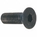 ScktFltHdScrw SS M2-0.4 16mm L PK10