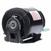 Motor 1/3 HP 1725 rpm 56Z 115/208-230V