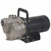 Self Priming Pump 1/3 HP 304 SS