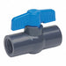 PVC Ball Valve Inline FNPT 1/2 