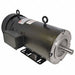 DC Motor 1/2 HP 1725 rpm 180V 56C TEFC