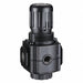 Air Regulator 1/4 In.NPT 144 cfm 300 psi