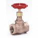 Globe Valve 1/2 Bronze FNPT 200 psi