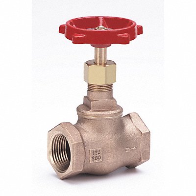 Globe Valve 2 Bronze FNPT 200 psi