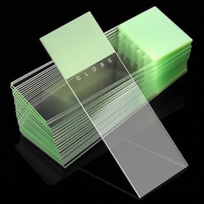 Microscope Slide Green PK1440