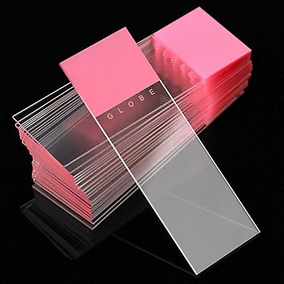 Microscope Slide Pink PK1440