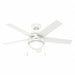 Decorative Ceiling Fan 46  L 120VAC