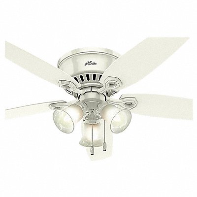 Decorative Ceiling Fan 52  L 120VAC