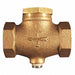 In Line Check Valve 1/2 FNPT