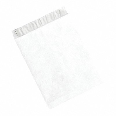 Flat Envelopes 6x9 PK100