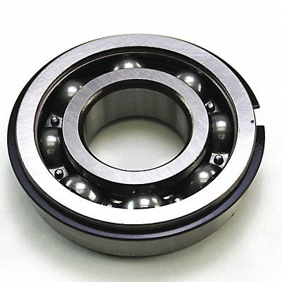 Bearing Pump End No Grease
