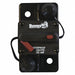 Circuit Breaker w/Manual Reset 250A
