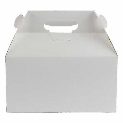 Disposable Carry-Out Containers