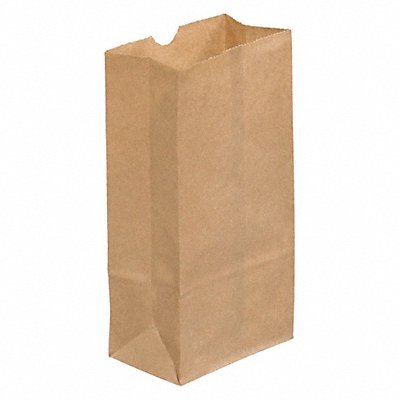 Grocery Bag Standard Paper Open PK500