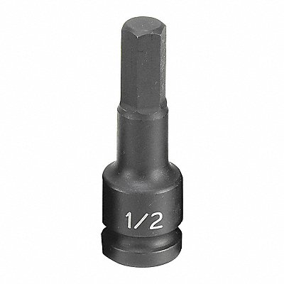 Impact Socket 1/2 1/2 D Hex