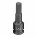 Impact Socket 1/2 1/2 D Hex