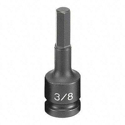 Impact Socket 3/8 1/2 D Hex