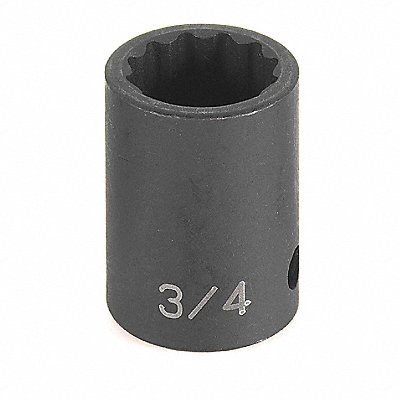 Impact Socket 1/2 1/2D 12pt.