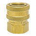 Brass Socket 3/8 FPT