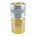 Manual Socket 1/4 FPT Brass/Steel