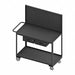 Mobile Wrkstion Steel 48 L 24 W 2 Shelf