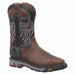 Western Boot EE 13 Brown PR