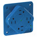 Receptacle Blue Quad Outlet 15A 2 Poles