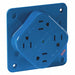 Receptacle Blue Quad Outlet 15A 125VAC