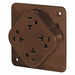 Recept Brown 20 A 2P3W Back Side 1PK