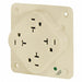 Receptacle Ivory Quad Outlet 20A 2 Poles