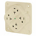 Receptacle Ivory Quad Outlet 20A 125VAC