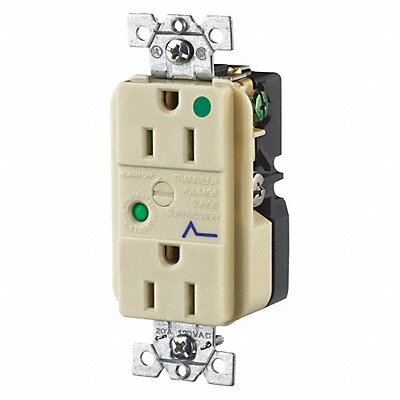 Receptacle 15A Audible Alarm 125VAC