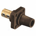 Receptacle Brown Female Double Set Screw