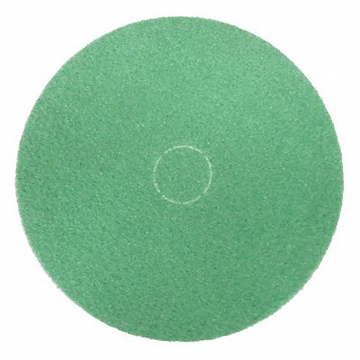 Scrubbing Pad 20 in Dia Green PK5