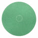 Scrubbing Pad 20 in Dia Green PK5